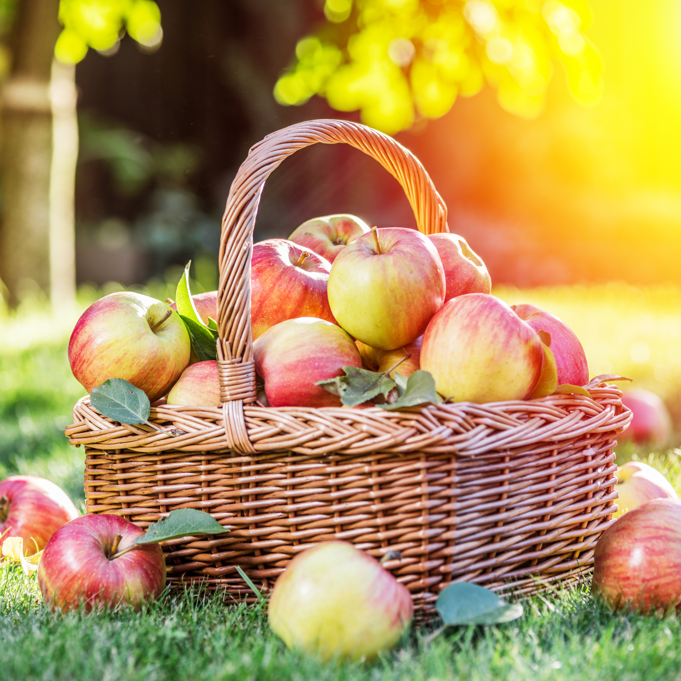 Pink apple orchard candle (NEW)